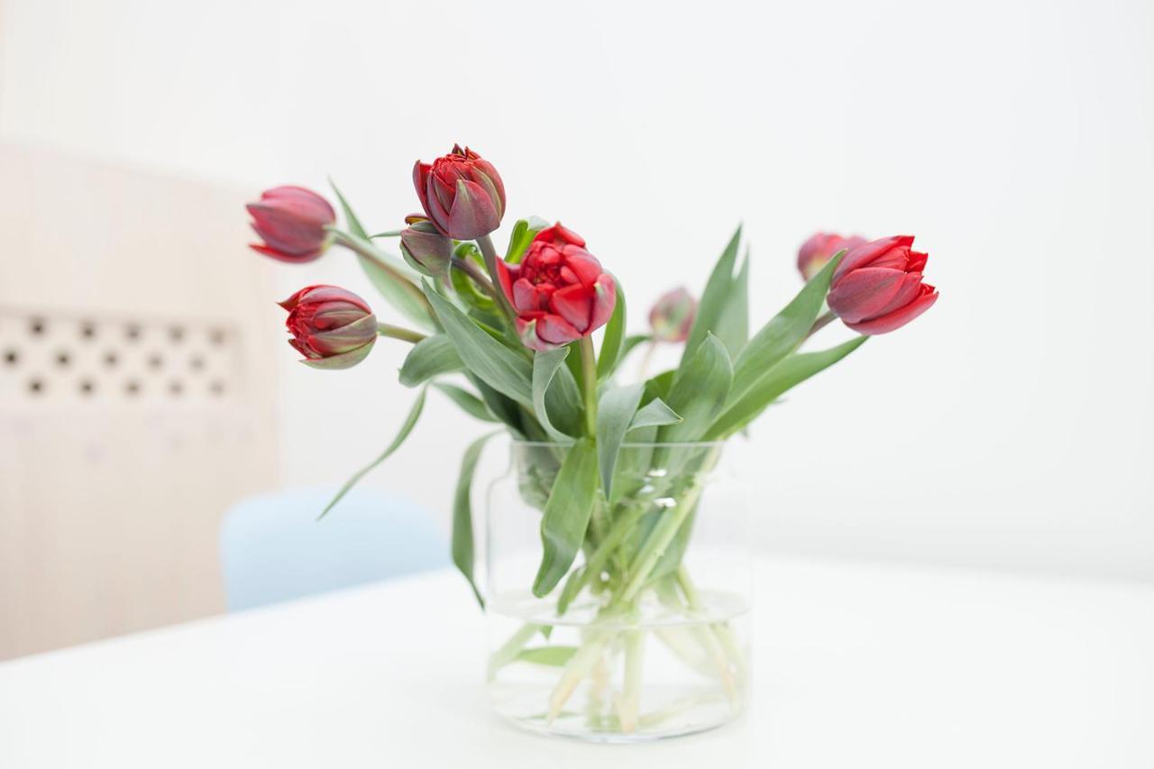 Hip & Stylisch B&B Amsterdam Eksteriør billede